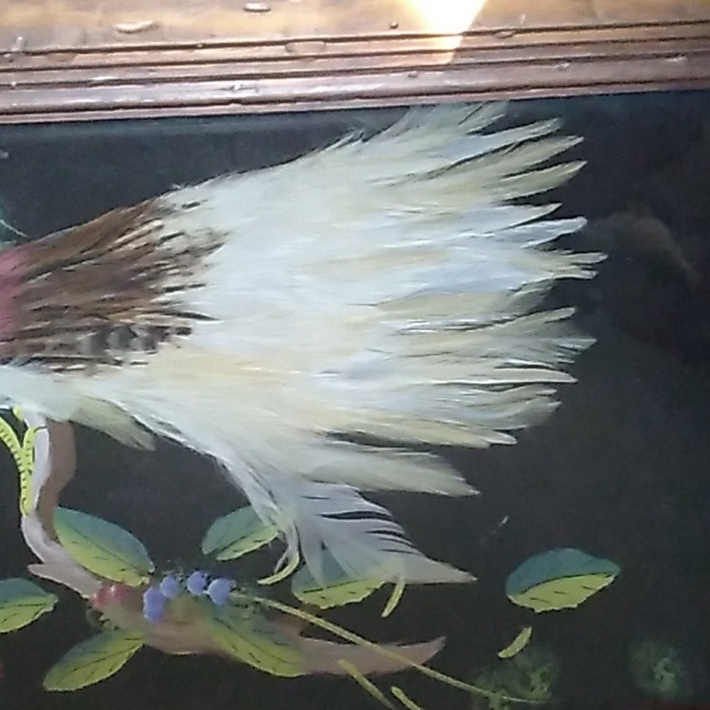 Vintage PEACOCK Framed ART Bird Distressed Wood FRAME πΌοΈ 19" X 11" - Picture 6 of 16